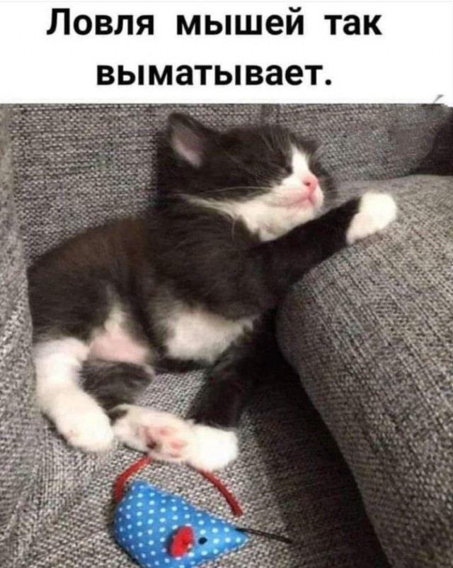 Завалялось тут случайно немного забавных картинок