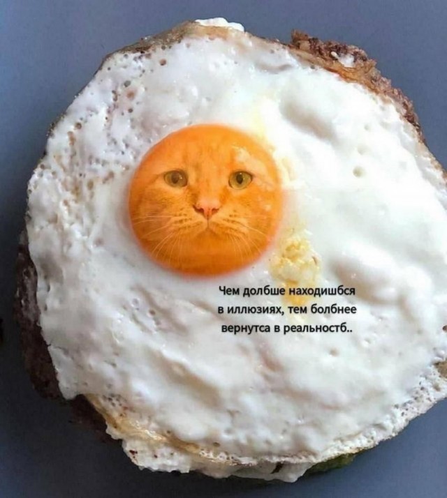 Прикольные и просто красивые картинки