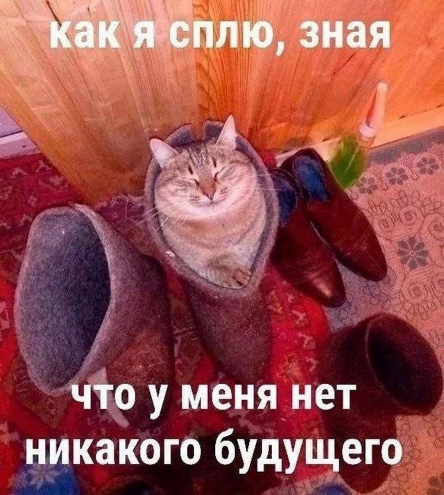 Забавные картинки, шутки из этих ваших интернетов