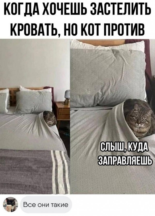Прикольные и просто красивые картинки 22.11.2024