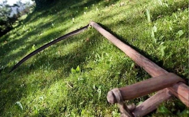 Фотографии из прошлого нашей страны – 81