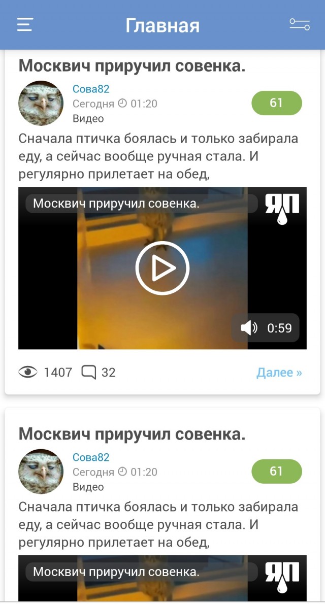 Москвич приручил совенка.