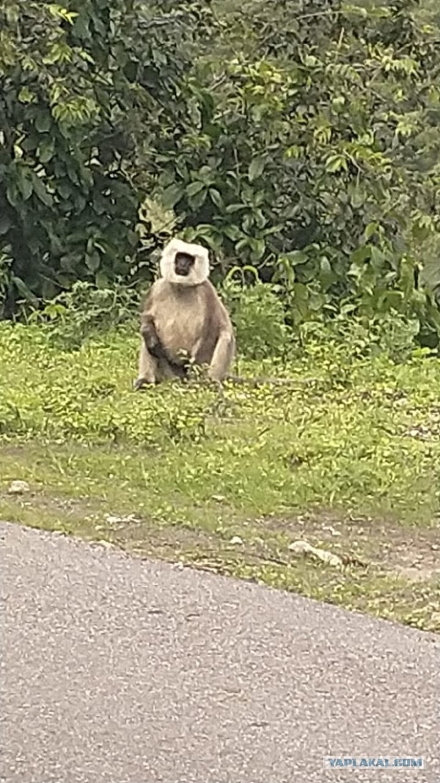 Бутан, таинственный Бутан