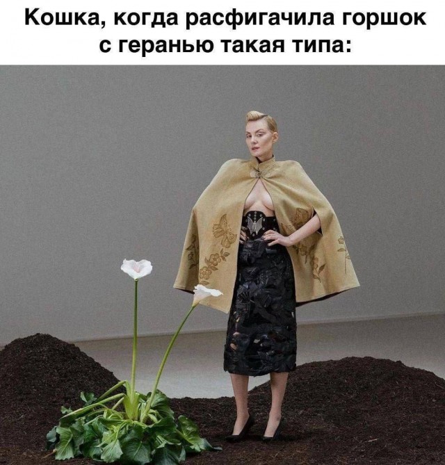 Завалялось тут случайно немного забавных картинок