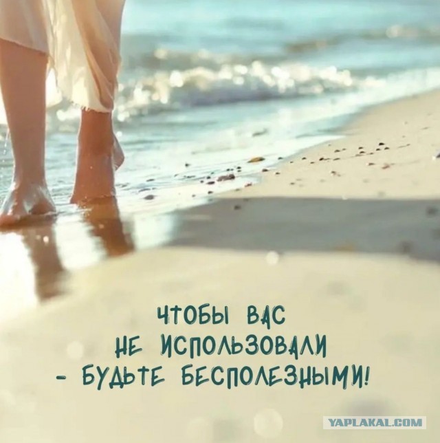 Йа папа Карло
