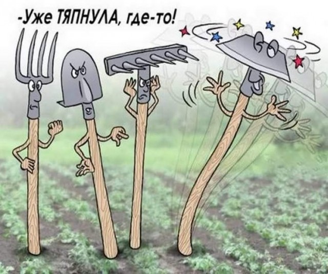 Прикольные и просто красивые картинки 04.04.2025