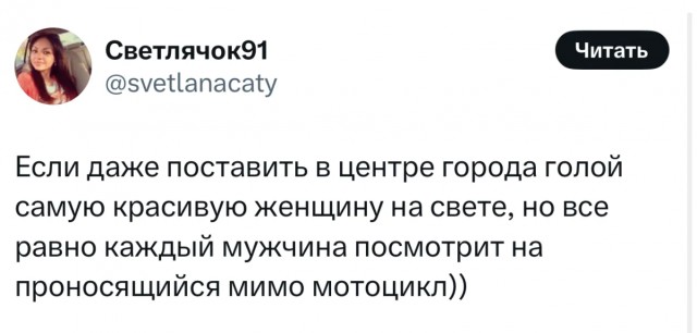 Юмор в буквах за день и шесть ног