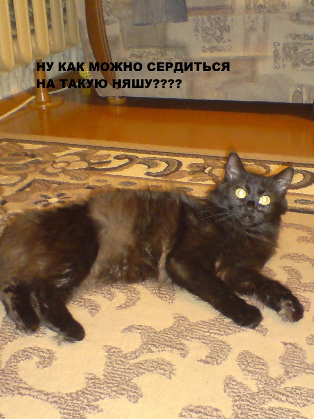 А ты живи с этим