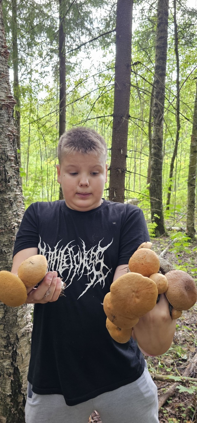 Грибов.есть