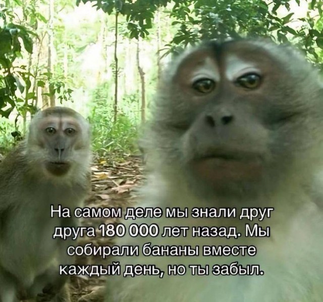Вспомнил свои корни