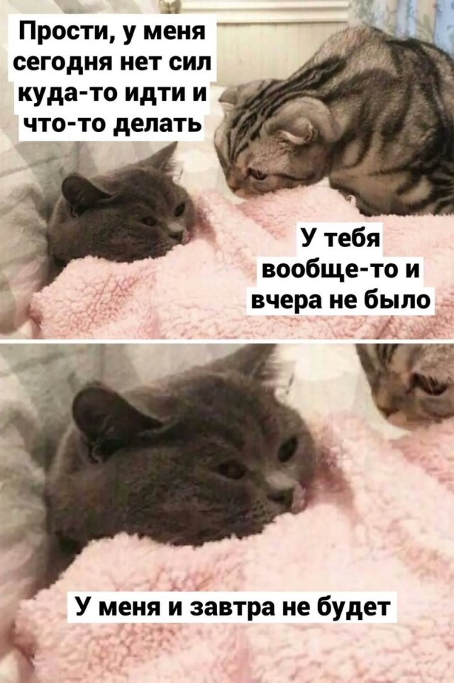 Картинки субботнего утра