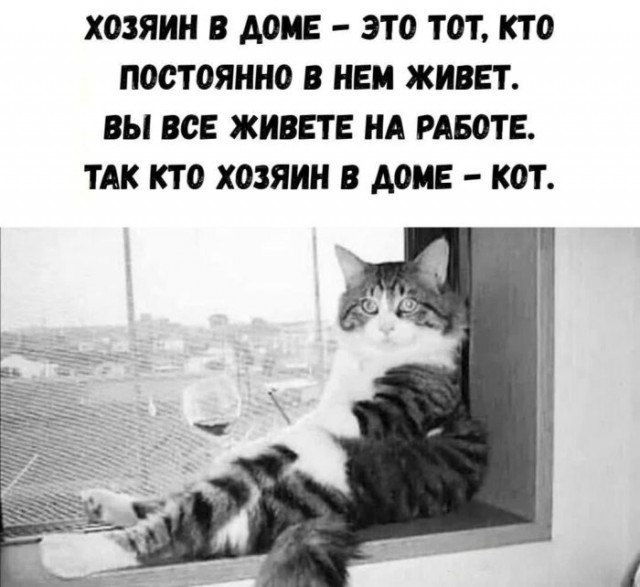 Картинки для деградации 64 (разной степени свежести)