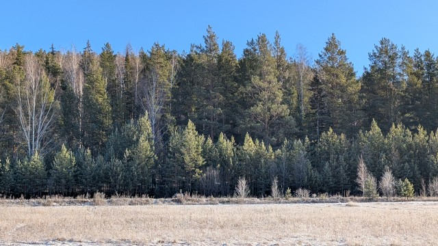 Баранчинский