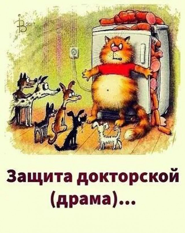 Прикольные и просто красивые картинки 07.11.2025