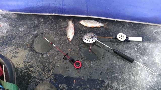 А что, если…