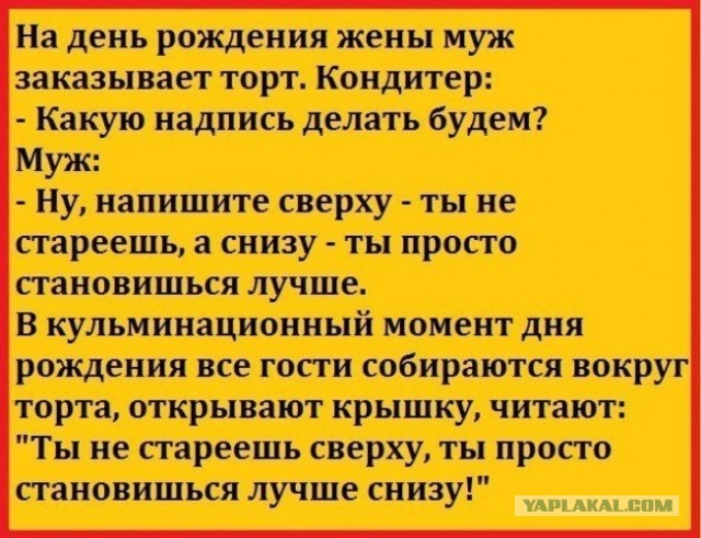 Кондитеры случайно сделали торт года — с запросами клиента прямо на изделии