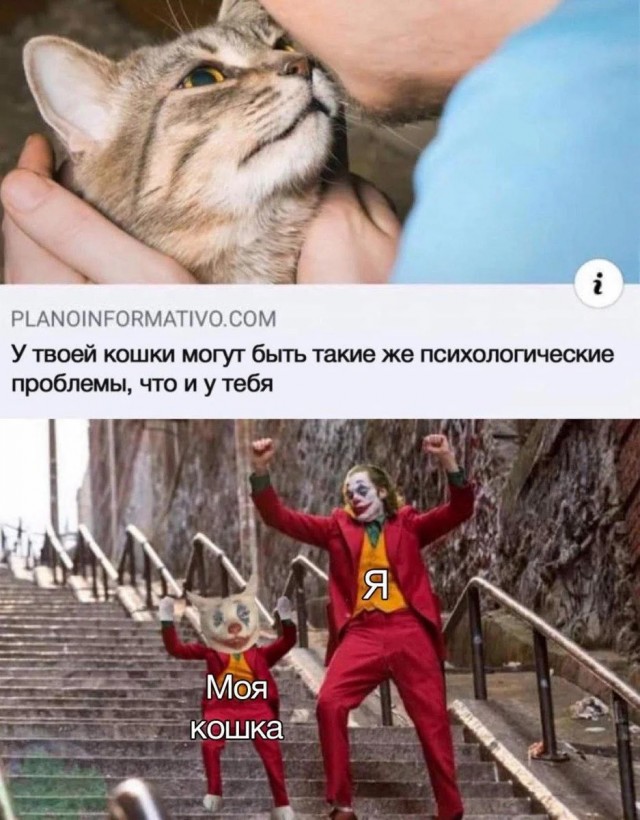 Никакого комплекса у меня нет, я действительно неполноценный!