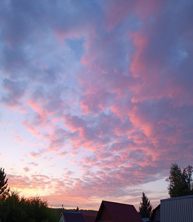 Одно фото