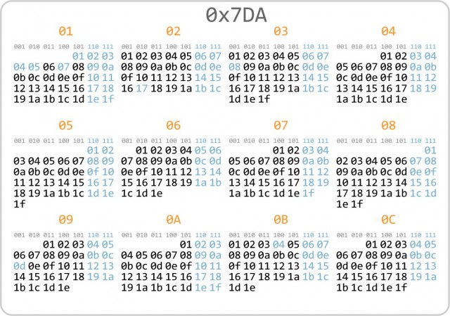 Каленадь программиста 2010