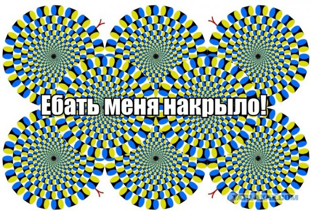 У них тоже пятница!