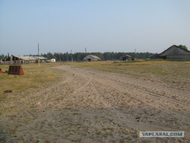 Распределение без прикрас