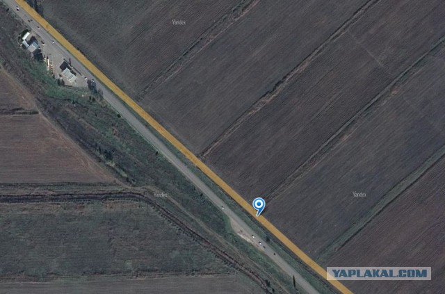 Спасла реакция