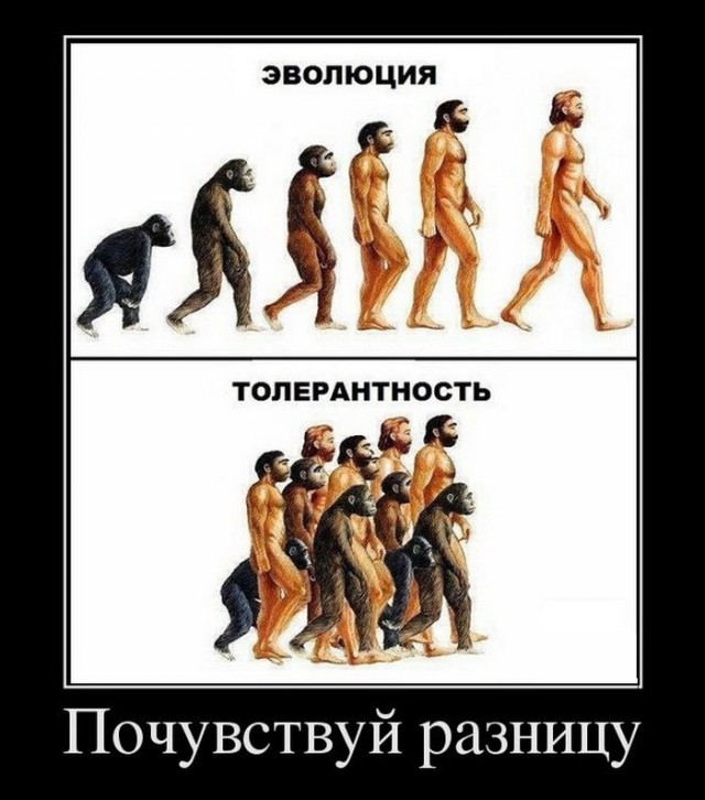 Горячие демотиваторы