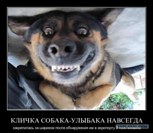 Весенние белые новости