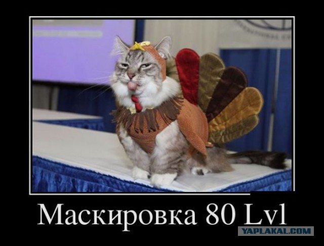 Демотиваторы вторника