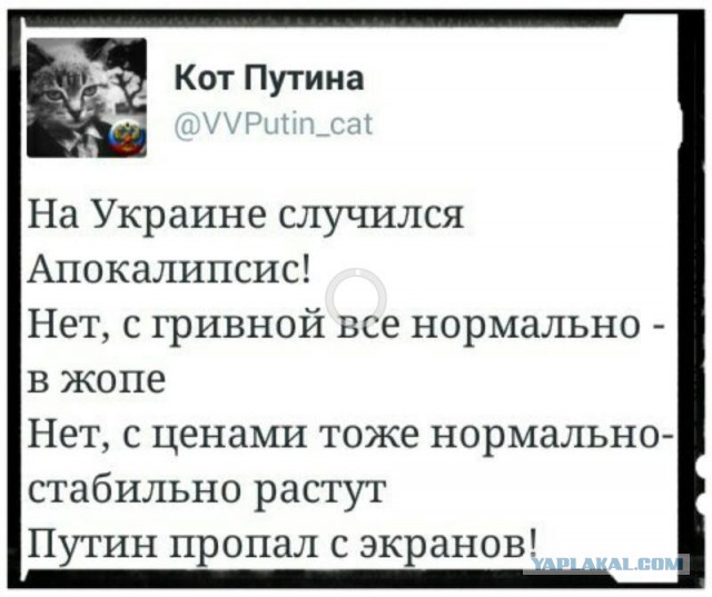 Владимир Путин не появлялся на публике с 6 марта