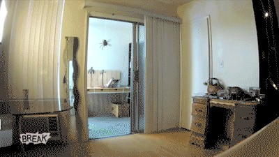 Испугалась, болезная!