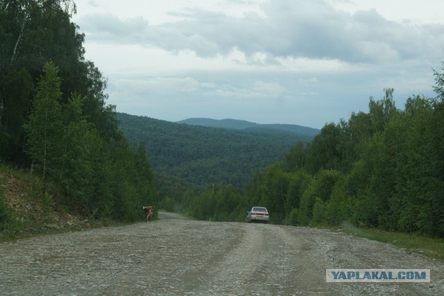 Сплав по реке Белая (Башкирия). Лето 2015
