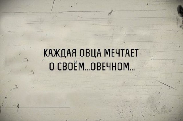 Типично женский тупизьм