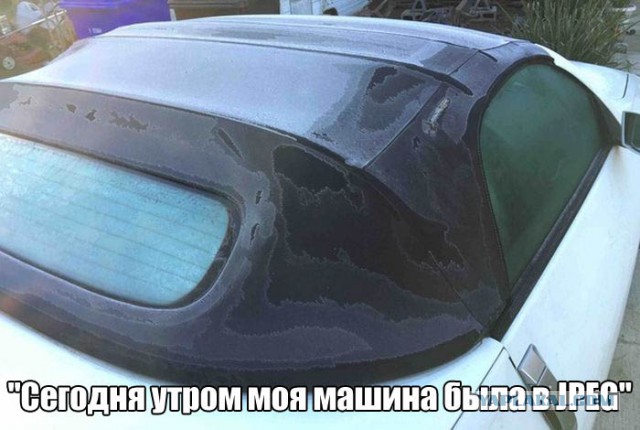 Весёлые картинки