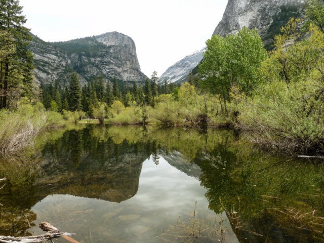 Подборка картинок