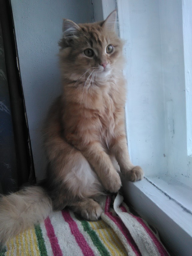 Те, которым мы помогли.