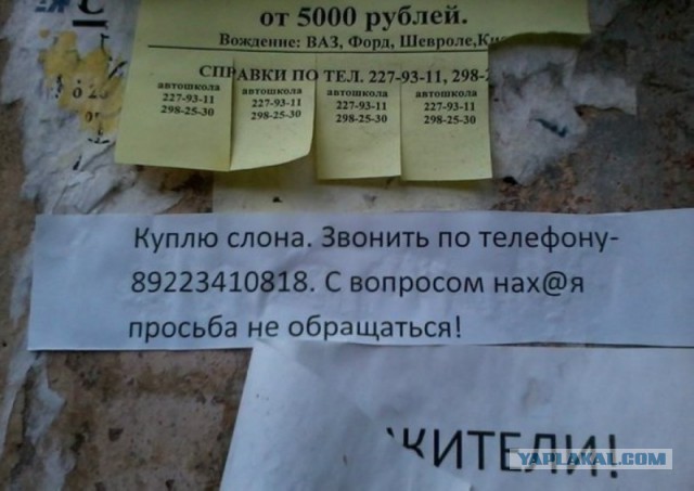 Народный креатив в вывесках, рекламах и пр.