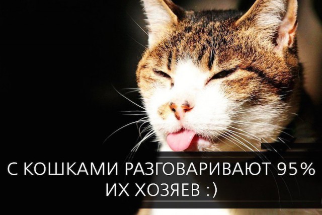 Подборка картинок