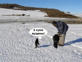 Фотожаба: Полярники окружают!
