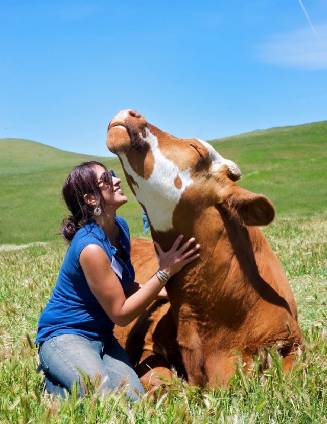 Порция картинок из сети