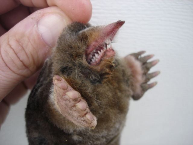 Как не нужно бурить скважину!