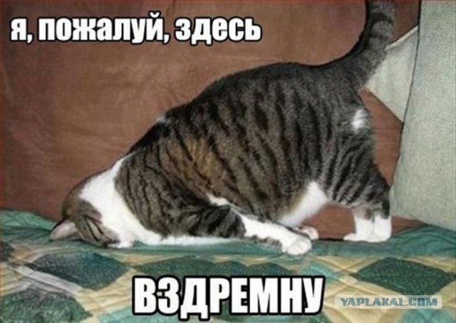 Подборка интересных и веселых картинок