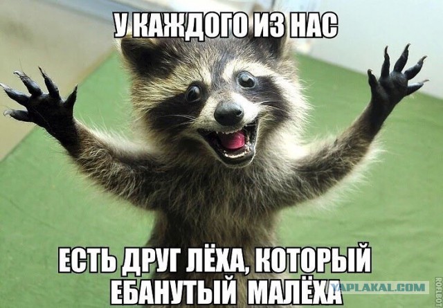 Картинки с буквами, со смыслом и без