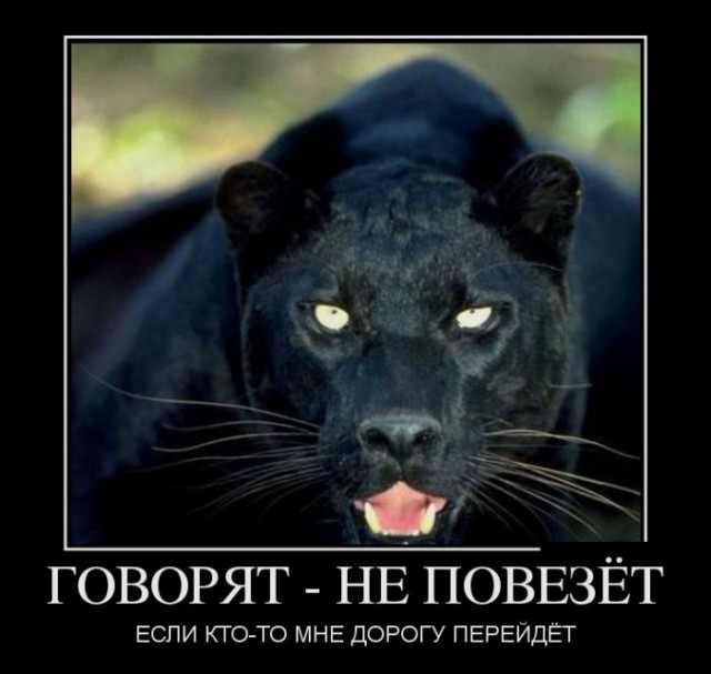 Пятничная подборка картинок