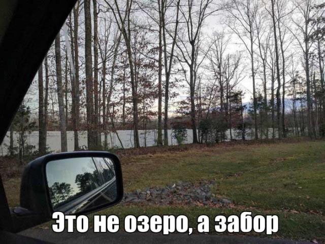 Веселые картинки...