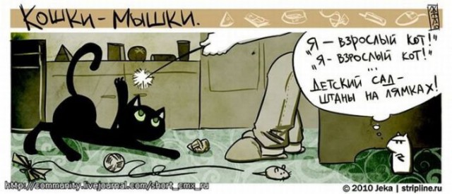Мышь, который очень хотел жить. И добился своего!