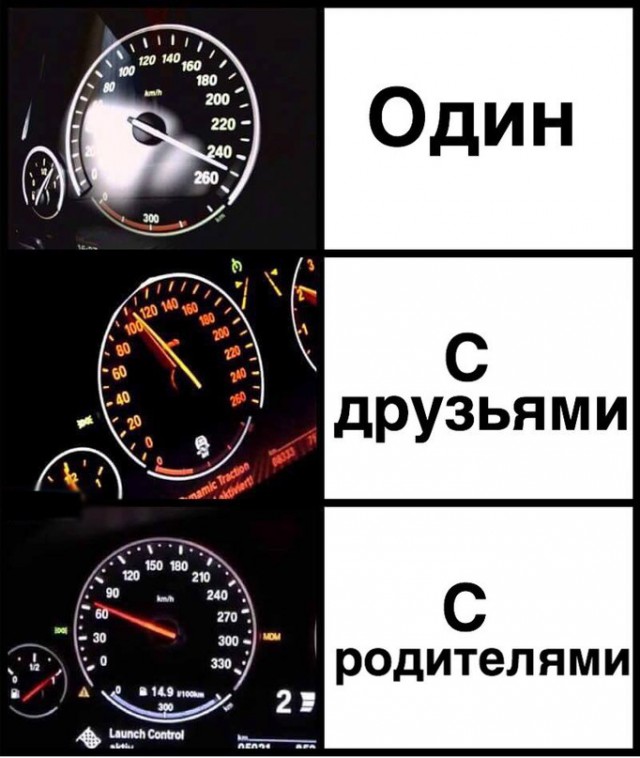 Подборка безудержного веселья