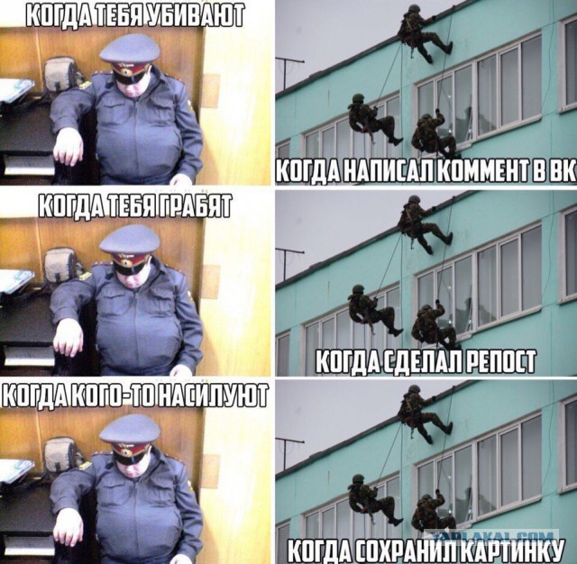 Цирк с обезвреживанием особо опасной бабки