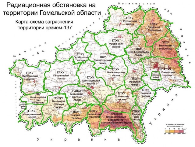«Пустил пузыри — тяни наверх». В Гомельской области рыбаки вытащили огромного сома весом 102 килограмма