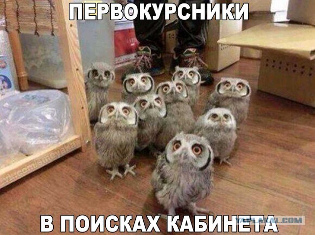 Картинки из этих, ваших, интернетов
